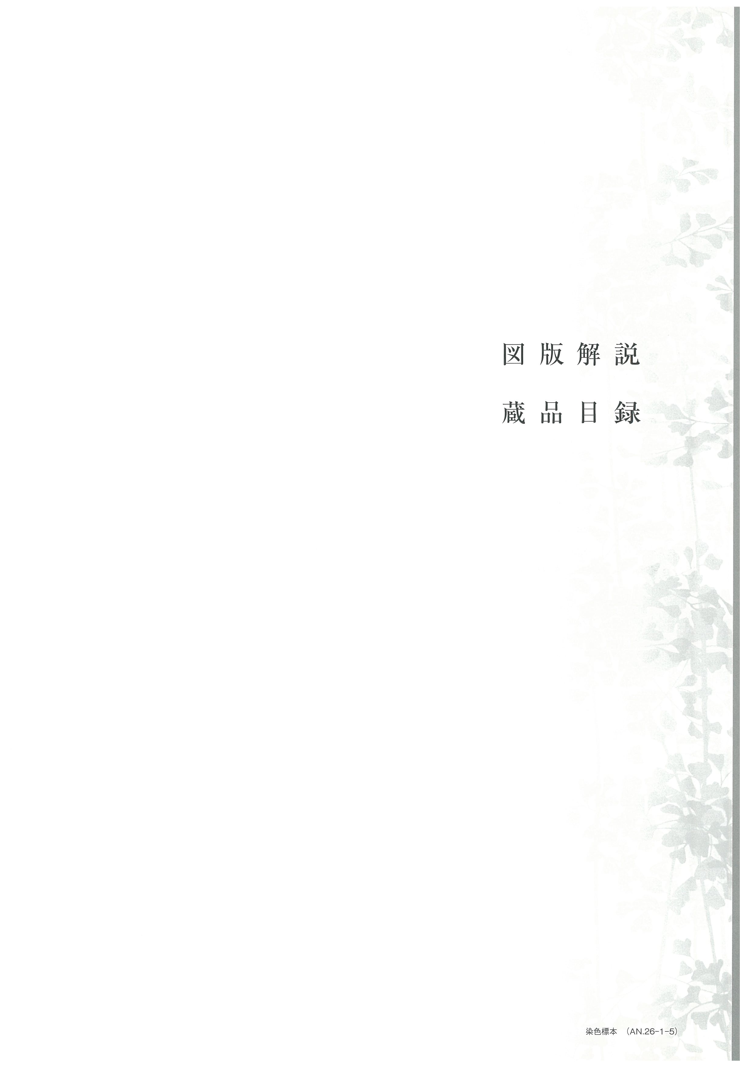 01.jpg